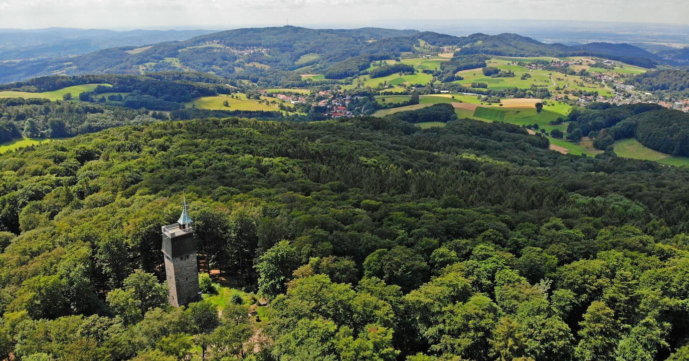 Rheinromantik und Rebenzauber: Ein Luftabenteuer ab Worms