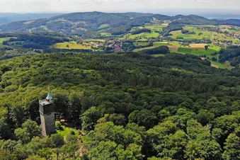 Rheinromantik und Rebenzauber: Ein Luftabenteuer ab Worms