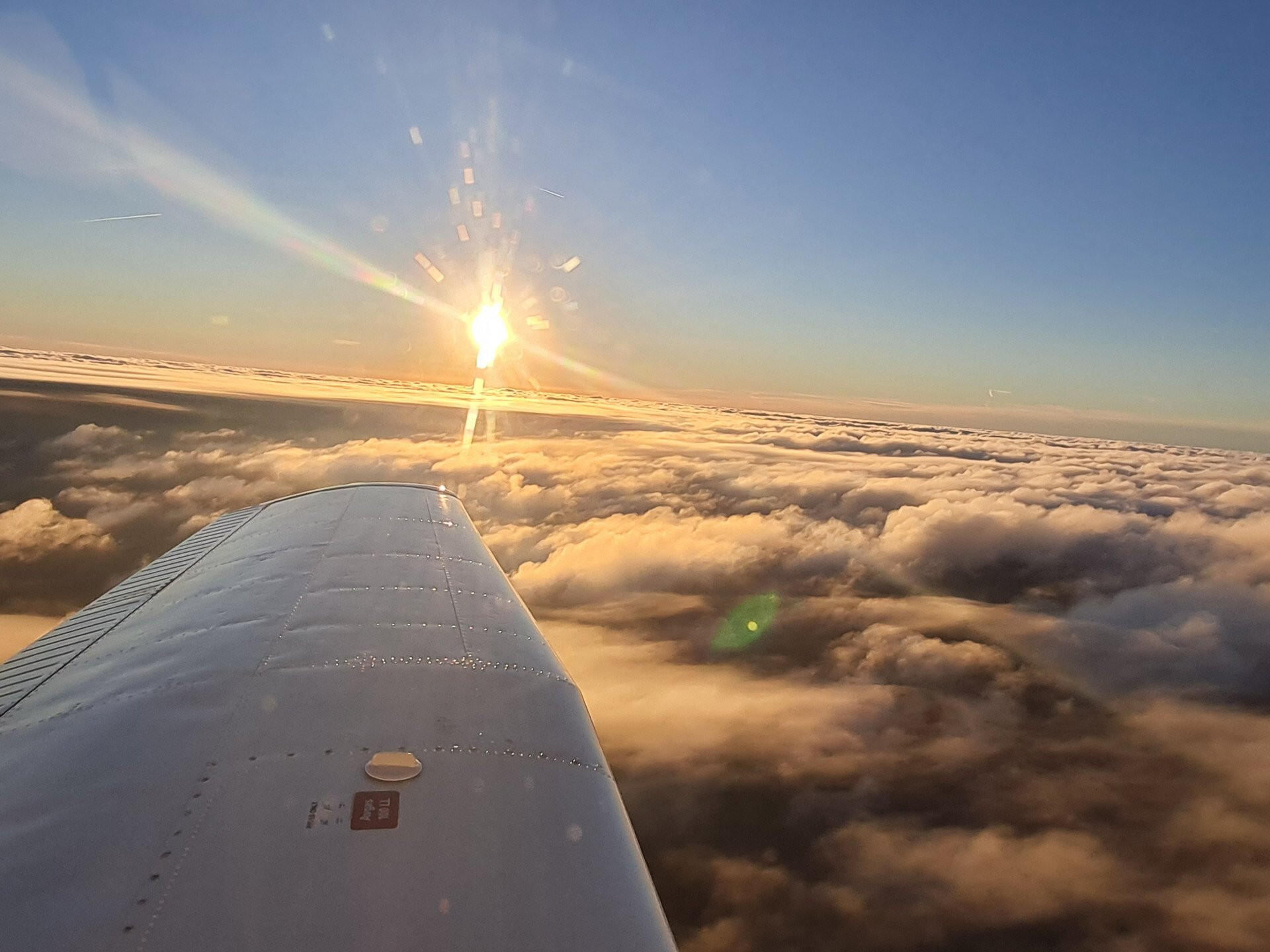 Dämmerungsflug, idealer Weise mit Sonnenuntergang