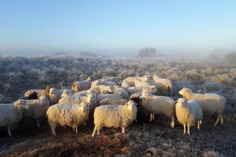 Hamburg - Juist - Hamburg
