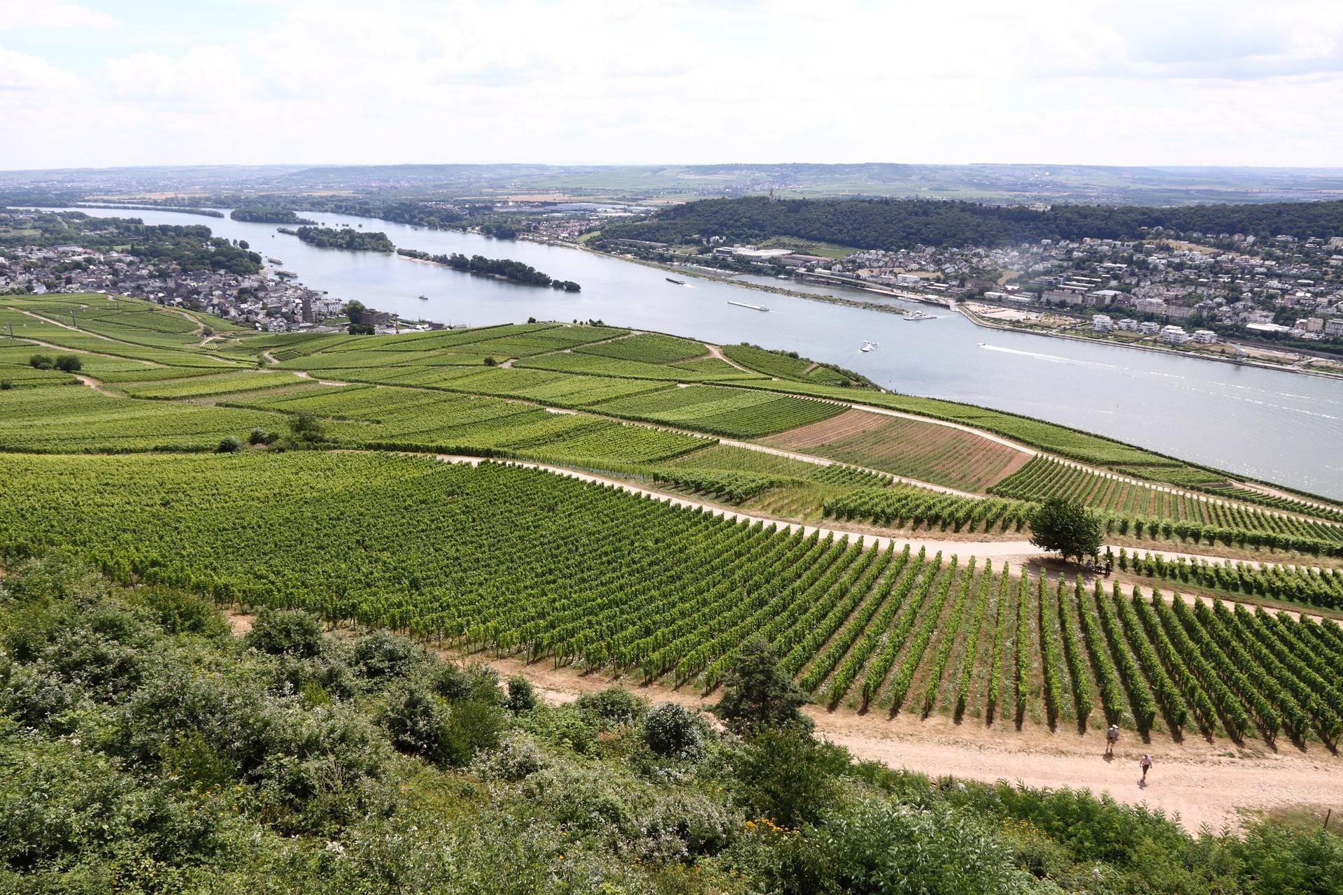 Rheingau und Rhein von oben erleben