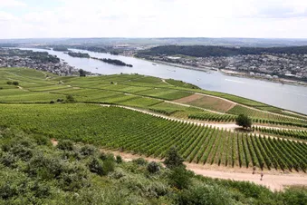 Rheingau und Rhein von oben erleben