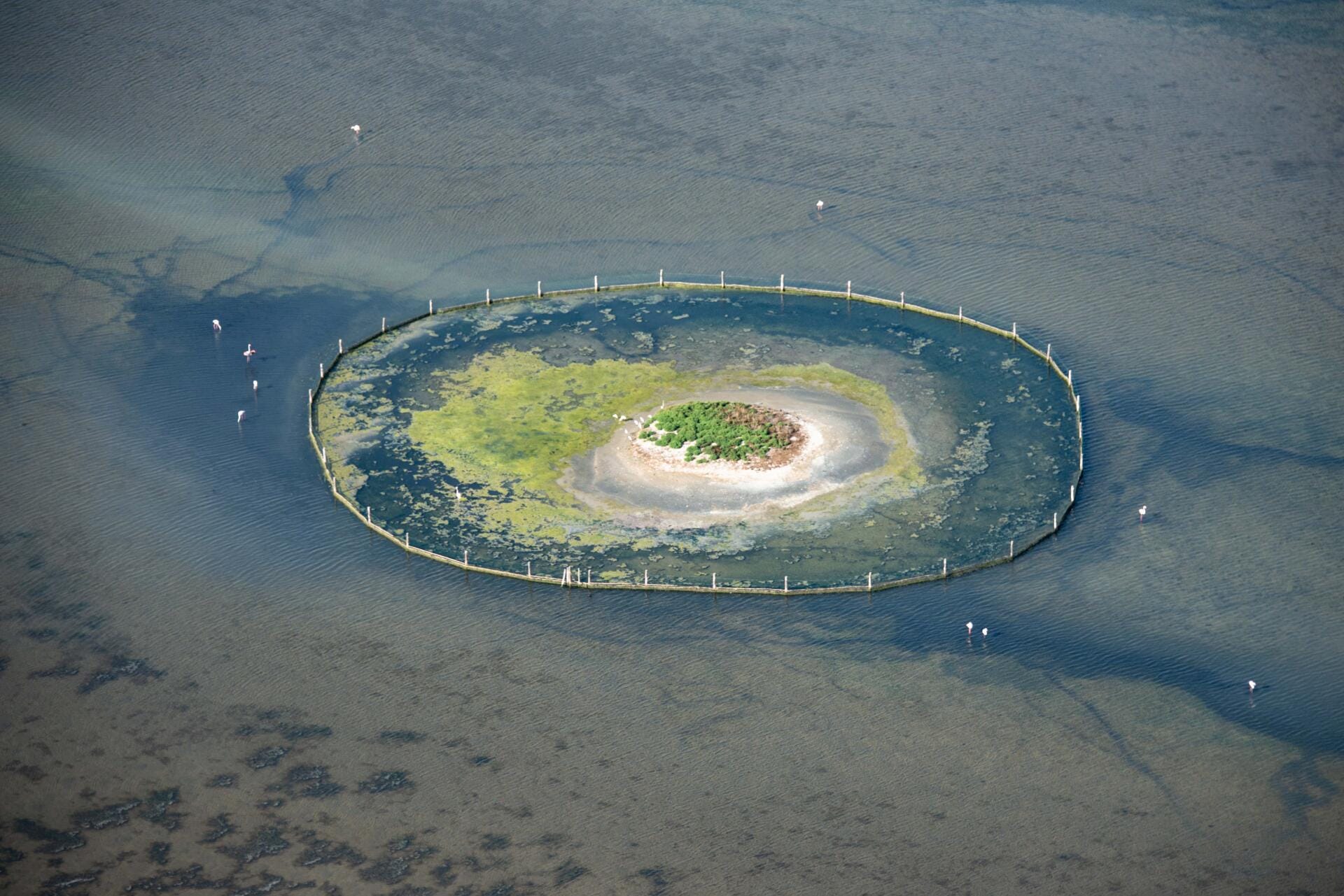 Survol littoral de Camargue, Stes-Maries-de-la-Mer (hélico)