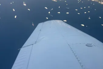 De Cannes à Saint-Tropez via le littoral