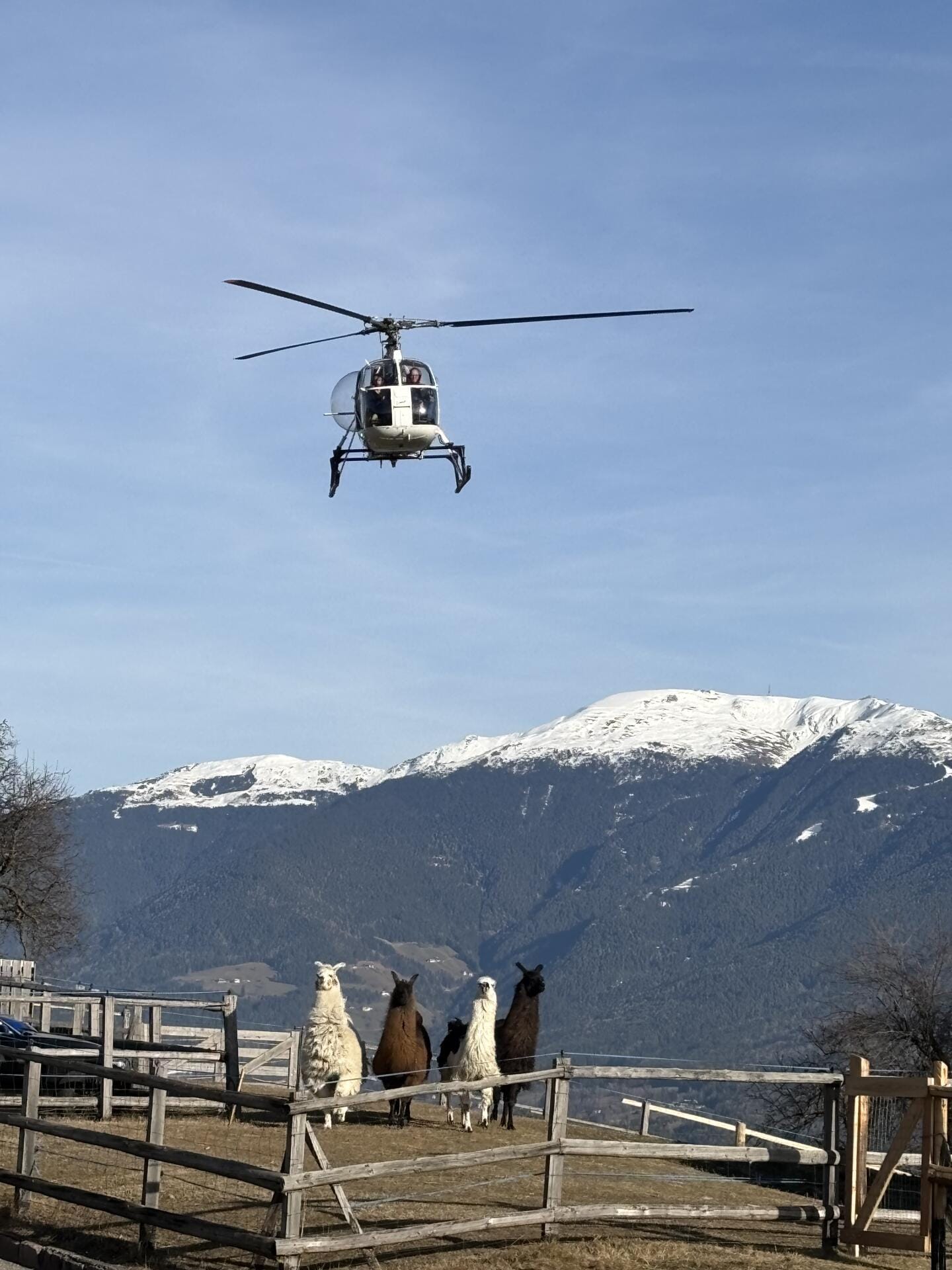 Almhüttenausflüge mit Aussicht und gutem Essen