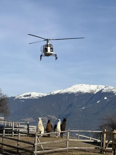 Almhüttenausflüge mit Aussicht und gutem Essen