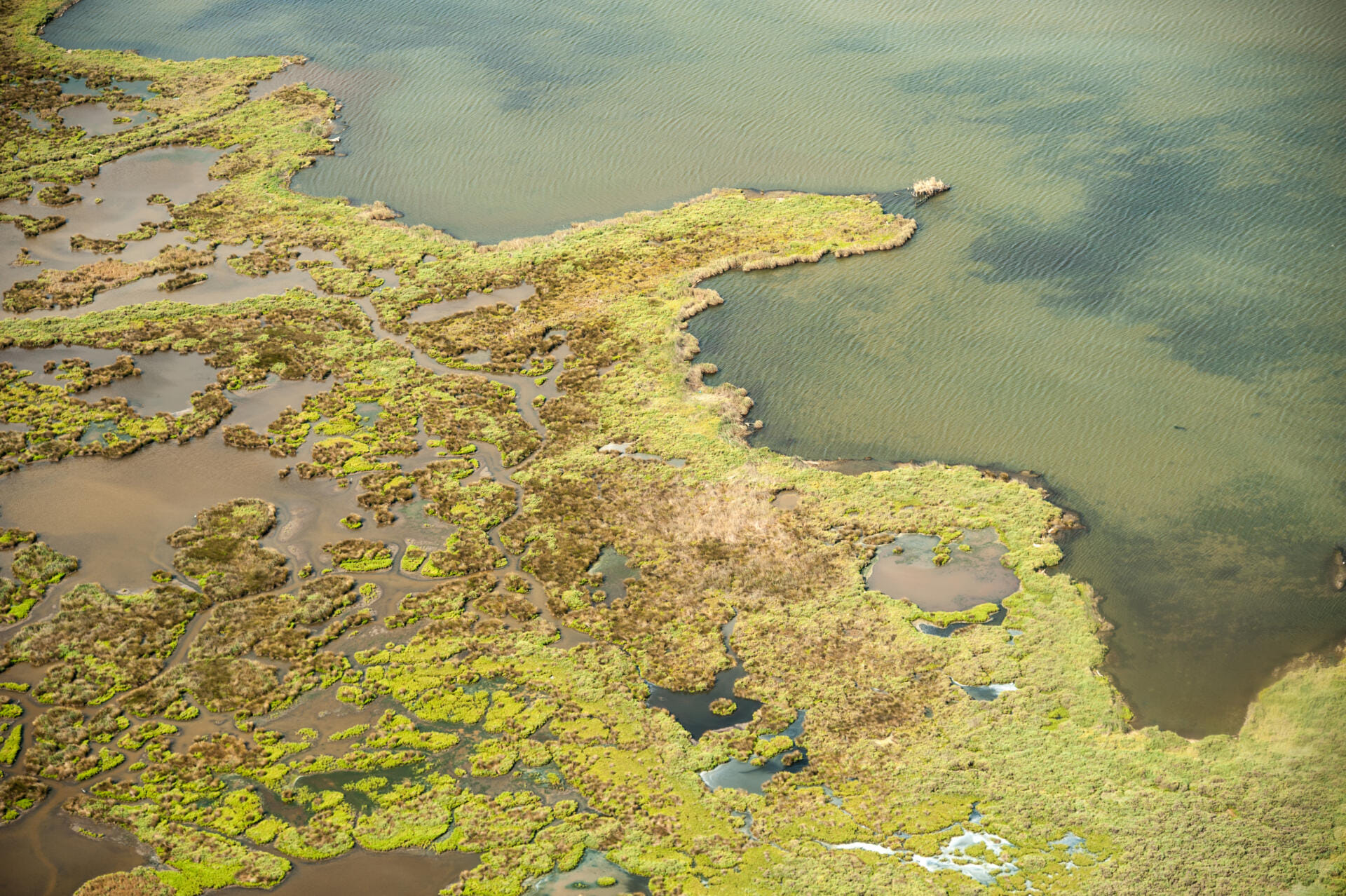 Vol Hélico - Aigues-Mortes, Salins du Midi - R44