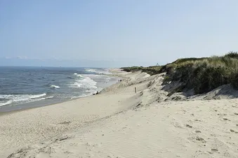 Ein Tagesausflug auf die Ostfriesischen Inseln