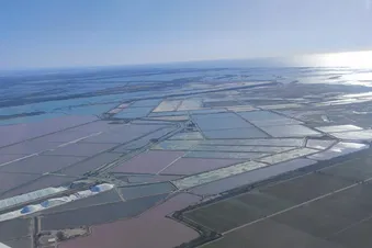 Aigues Mortes - Salins du midi