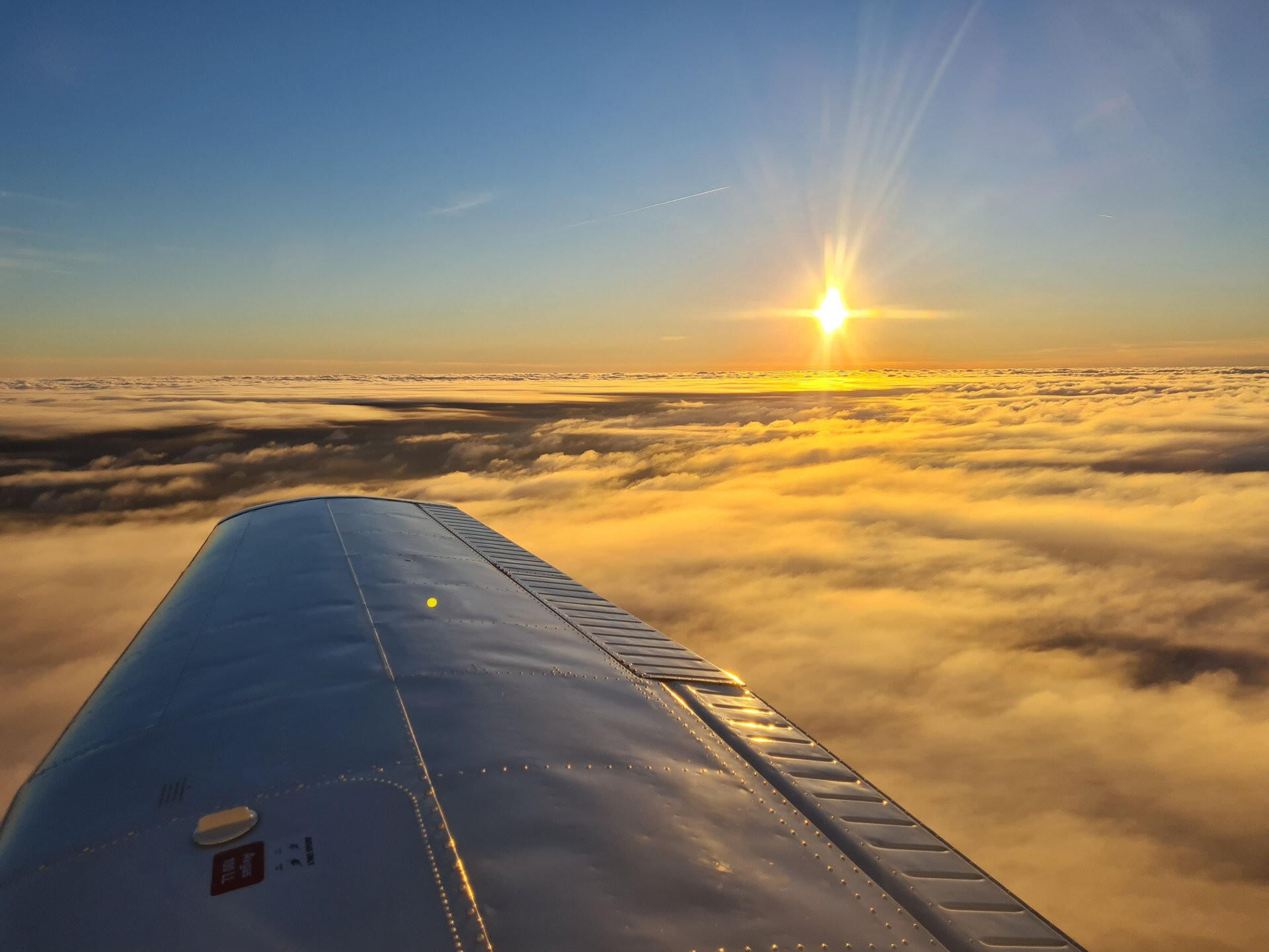 Dämmerungsflug, idealer Weise mit Sonnenuntergang