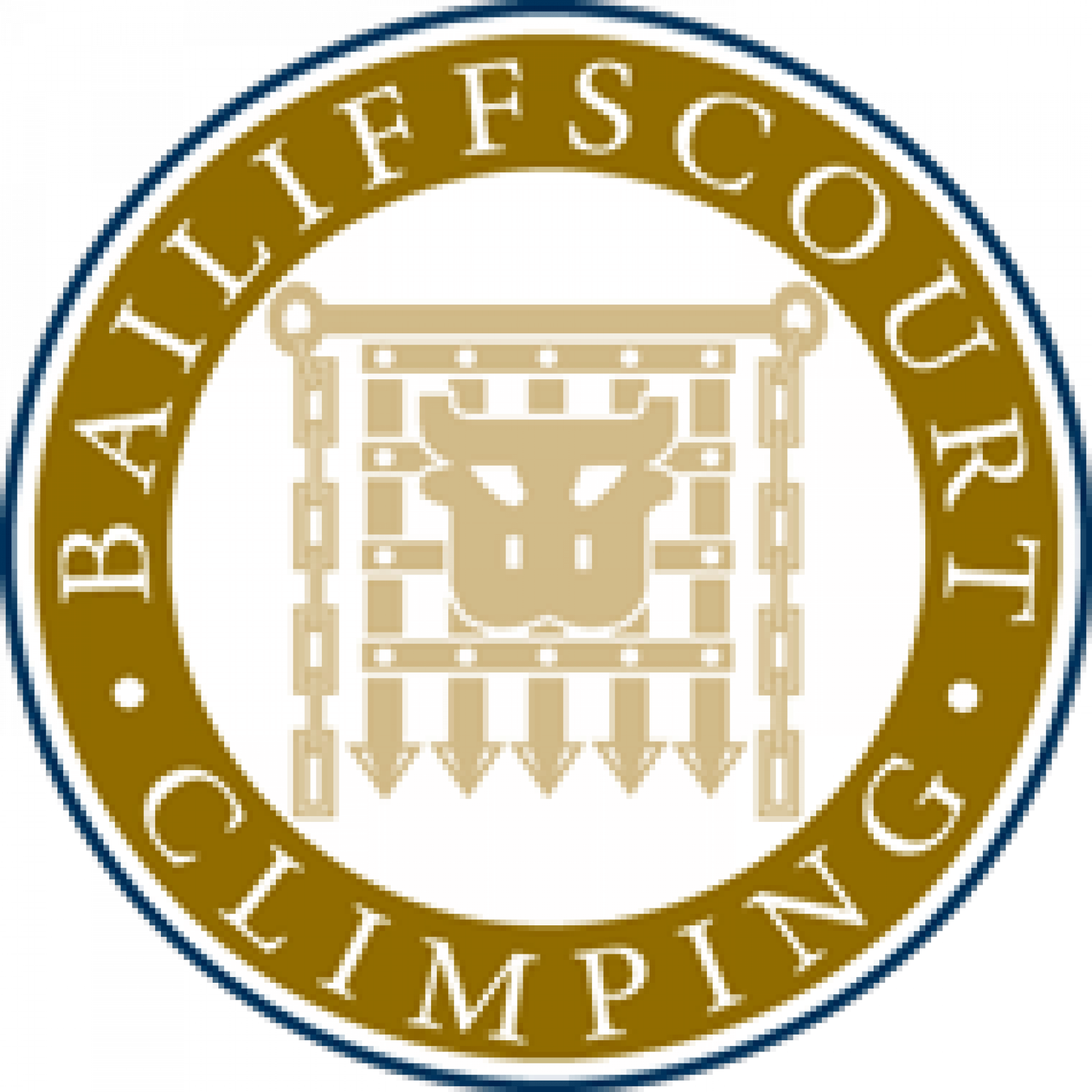 Helicopter flight to luxury Bailiffs Court Hotel