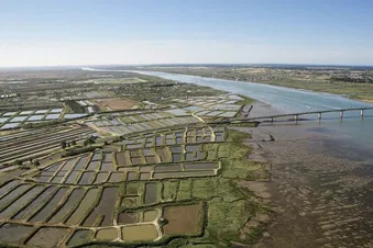 A la découverte de la côte Charentaise