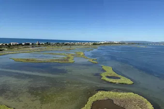 Balade en Camargue