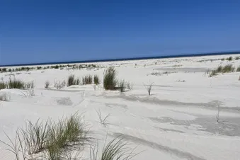 Ausflug nach Nordseeinseln