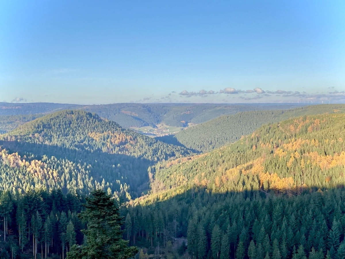 The endless scenery of the Black Forest