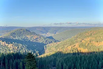 The endless scenery of the Black Forest