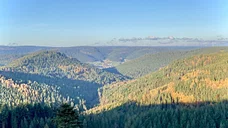 The endless scenery of the Black Forest
