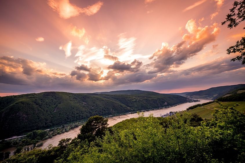 Rheingau und Rhein von oben erleben