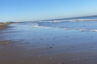 Tag am Meer, Brügge + Ostende ab Saarbrücken