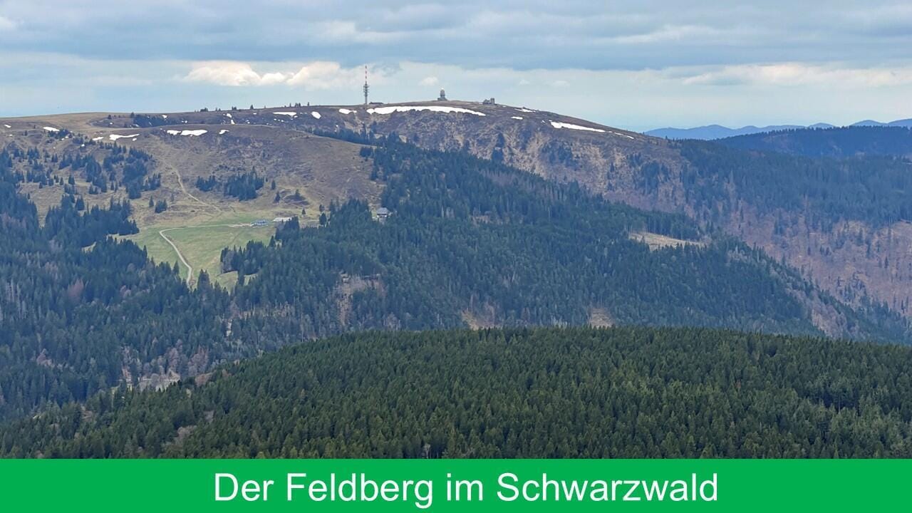 Ausflug nach Colmar – Flug und Stadterlebnis im Elsass