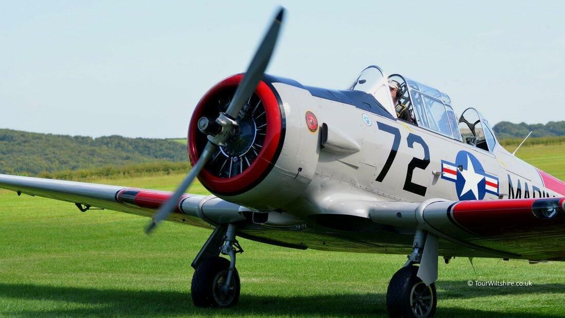 Compton Abbas for coffee, or pick another grass airfield!