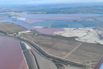 Aigues Mortes - Salins du midi