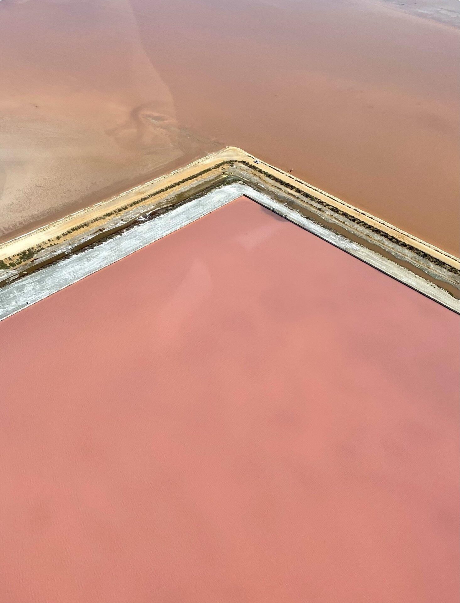 Essentiel Hélico la Petite Camargue depuis Candillargues