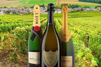 Day or overnight to explore the Champagne Region of France