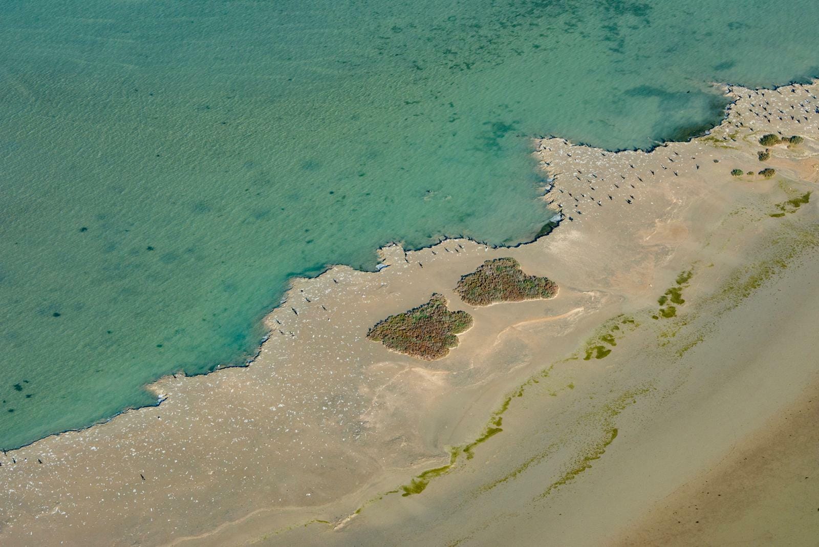 Littoral Palavas, Maguelone, Sète, Etang de Thau en hélico