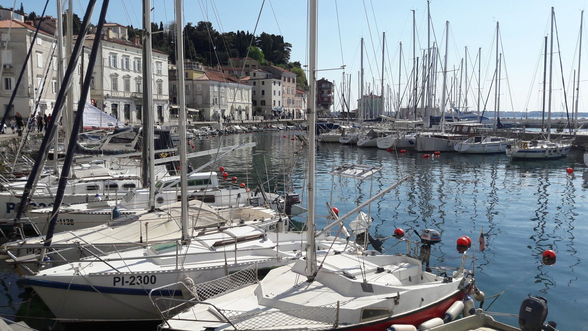 Fischessen am Meer in Portoroz/Piran (Tagesausflug)