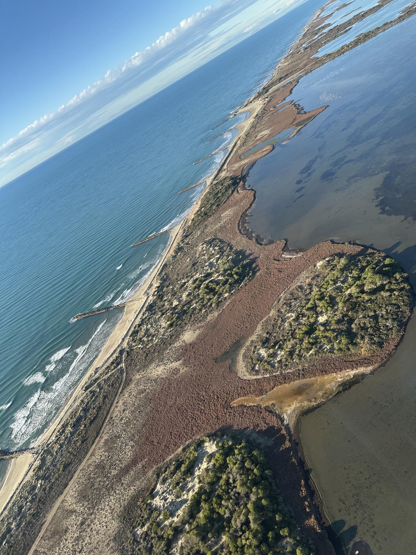 Promenade aérienne en Camargue