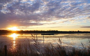 Camargue