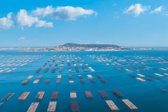 Etang de Thau et Sète