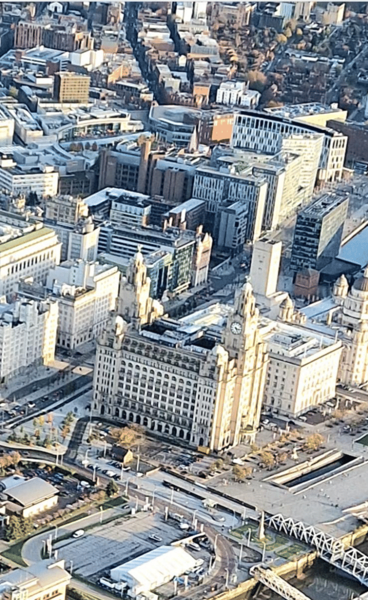 Liver building
