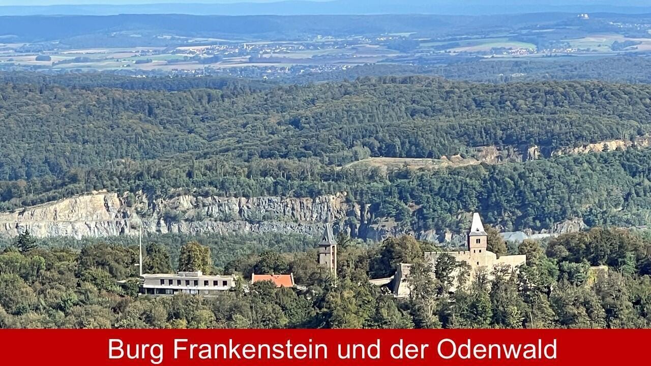 Speyer erleben – Flug und Stadtrundgang