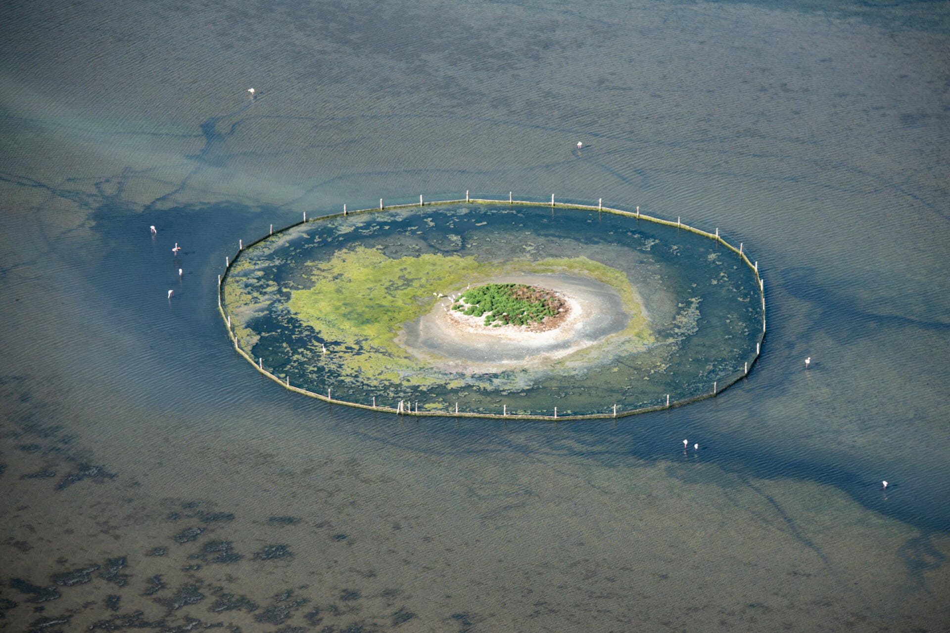 Survol Grande Motte, Littoral Camargue en hélico