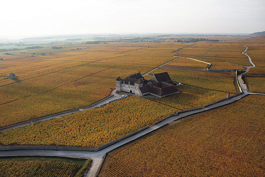 Clos vougeot