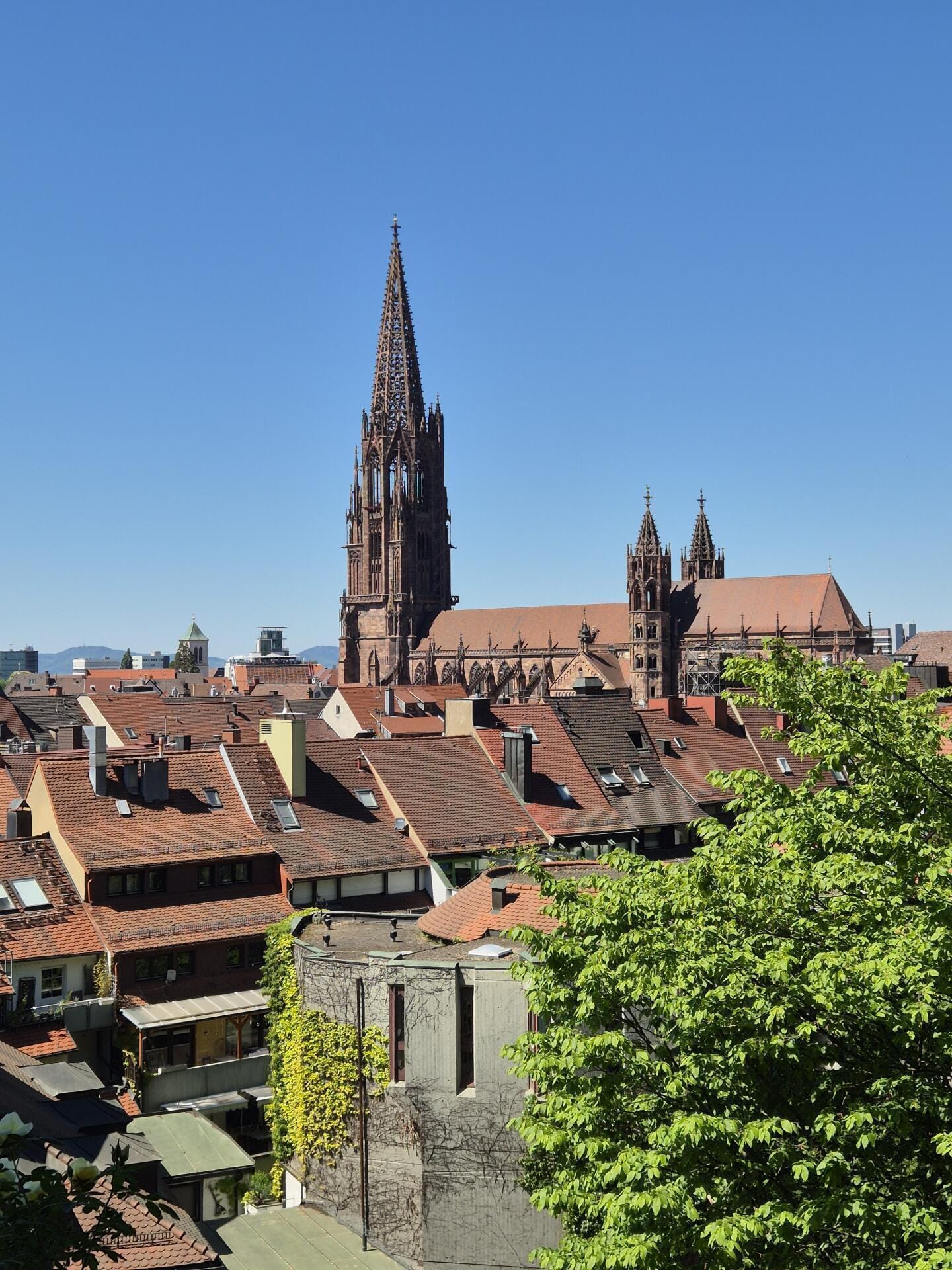 Black Forest & Freiburg Day Trip | English / Italiano