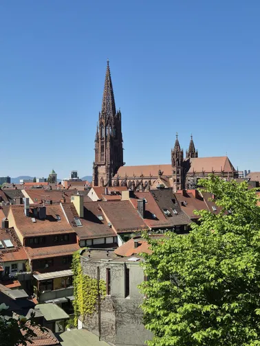 Black Forest & Freiburg Day Trip | English / Italiano