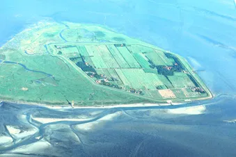 Neuwerk (Elbmündung)