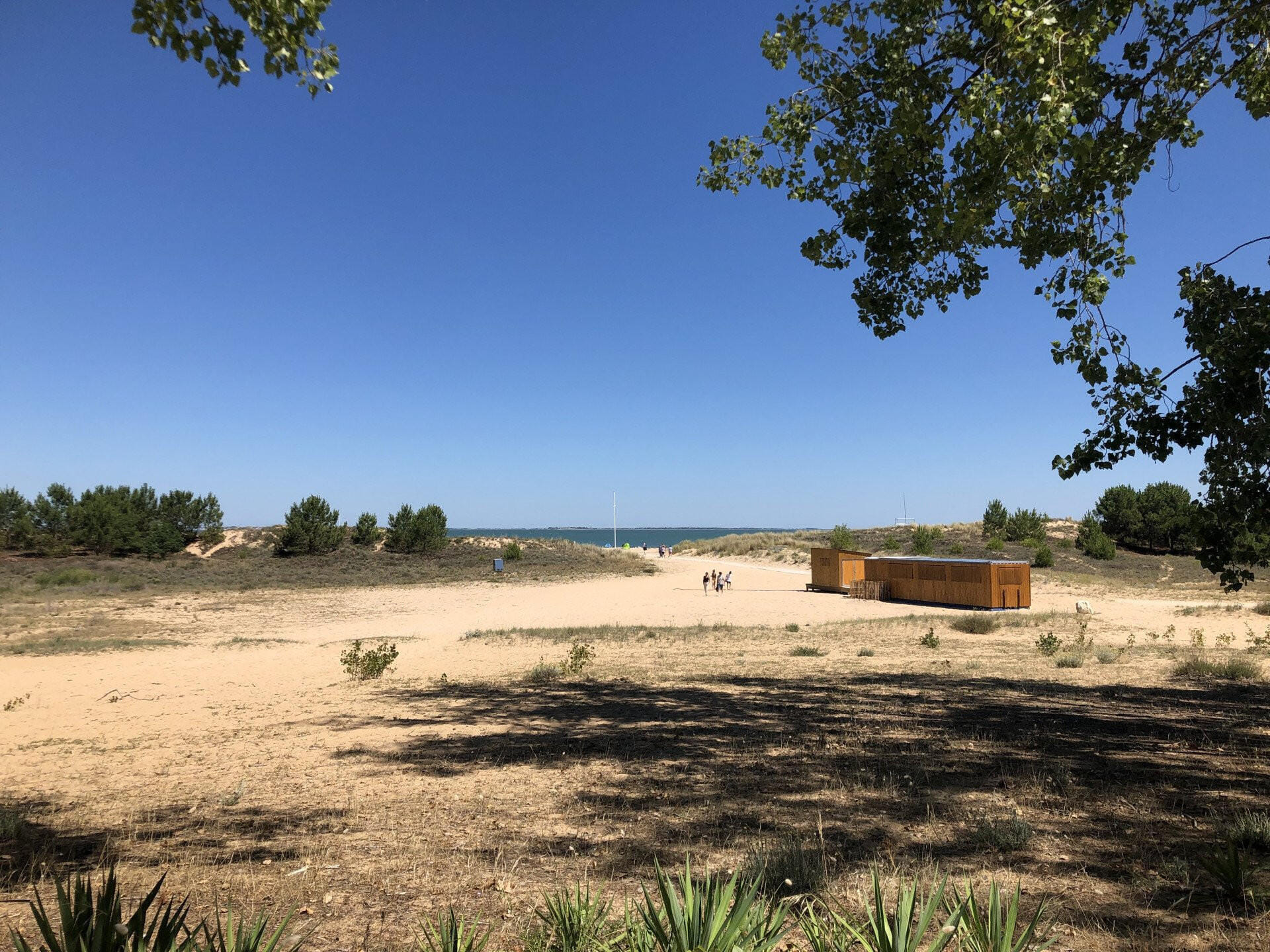 En 2025, une journée à Oléron