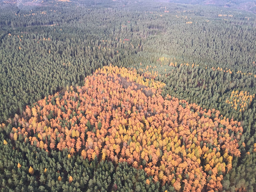 Oberpfalzrundflug ab Weiden 60 Min.