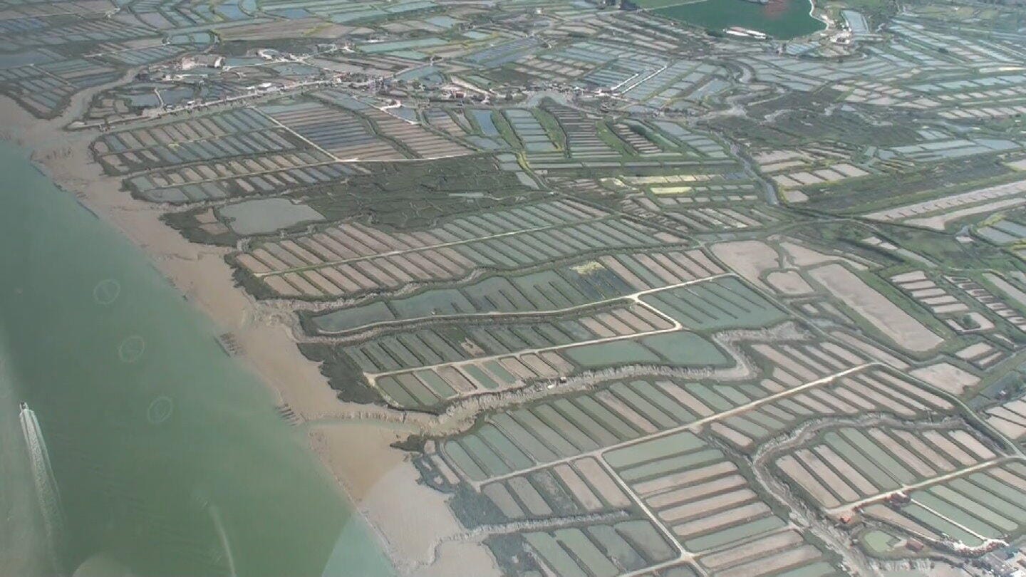 Les marais salants le long de la Seudre