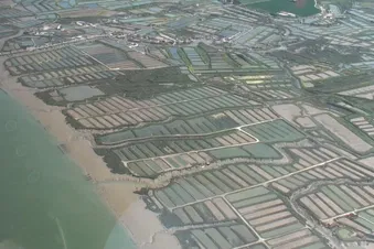 Les marais salants le long de la Seudre