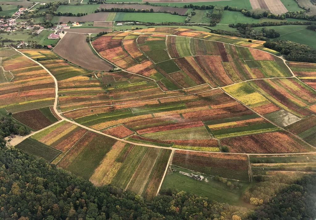 Vignoble de la Champagne sud