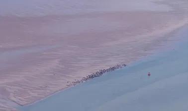 Baie de Somme, Le Tréport et Baie d'Authie ☀️✈️🎥