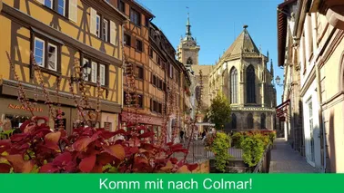 Ausflug nach Colmar – Flug und Stadterlebnis im Elsass