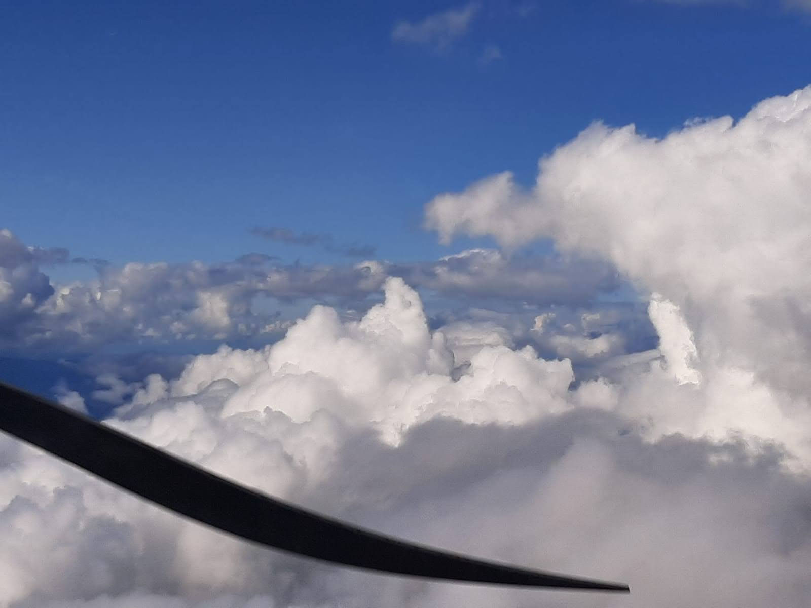 Les châteaux le long du vignoble Alsacien