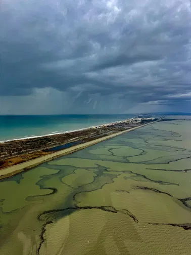 Promenade aérienne en Camargue