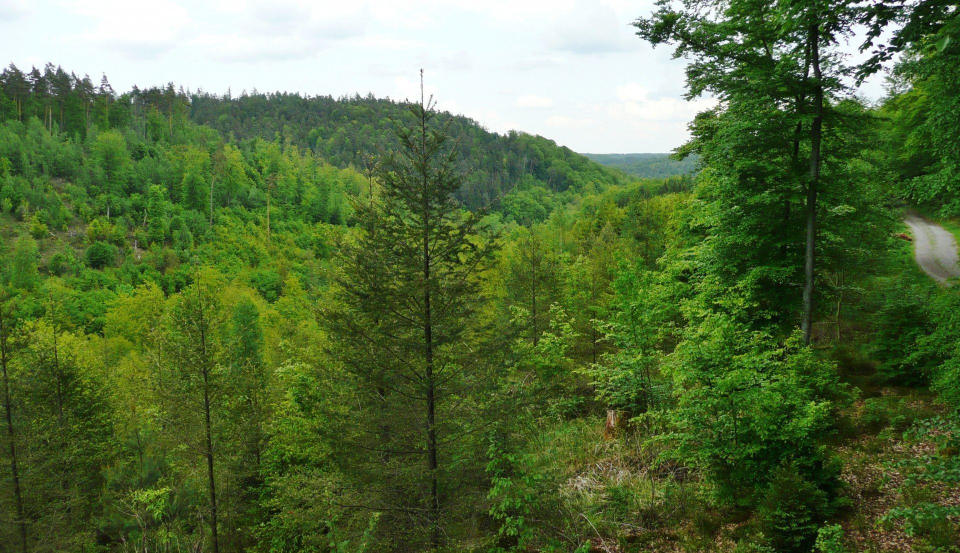 Region Stuttgart aus der Vogelperspektive